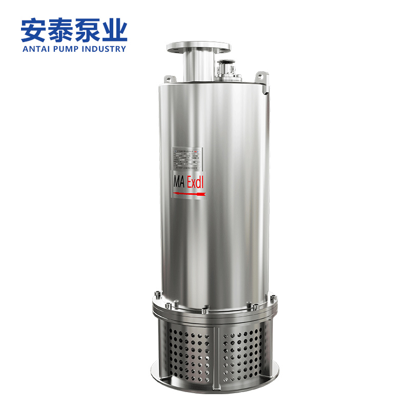 防爆排污泵 防爆排污泵